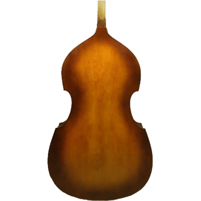 Ametto VB100 Bass Outfit