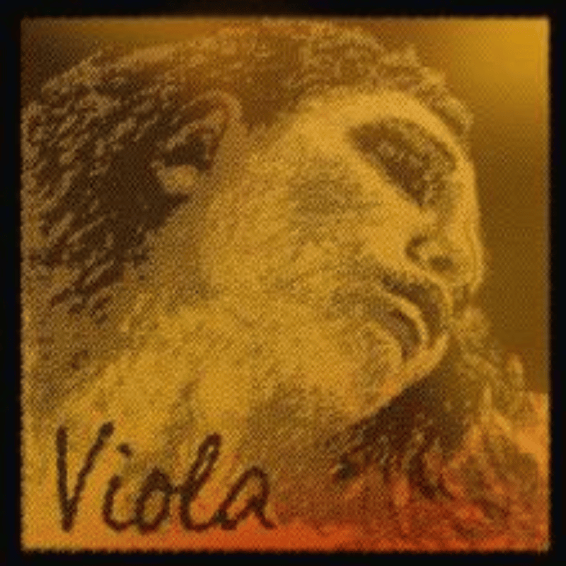 Pirastro Evah Pirazzi Gold Viola String Set - Medium Tension