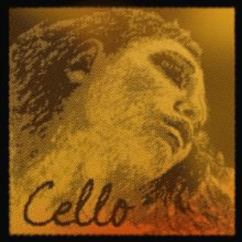 Pirastro Evah Pirazzi Gold Cello String Set – Medium Tension