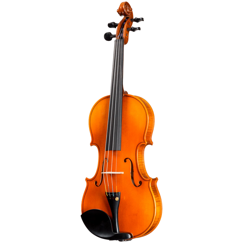 HOWARD CORE Franz Sandner FS604 Violin
