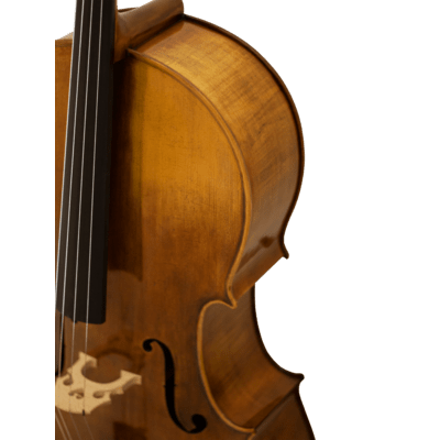 Maple Leaf Strings Haddock professional Cello with Case