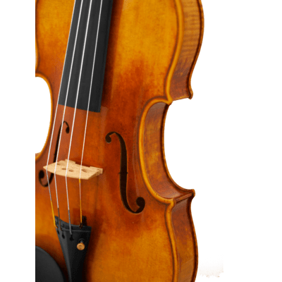 Maple Leaf Strings Duke Of Cambridge professional Violin with Case