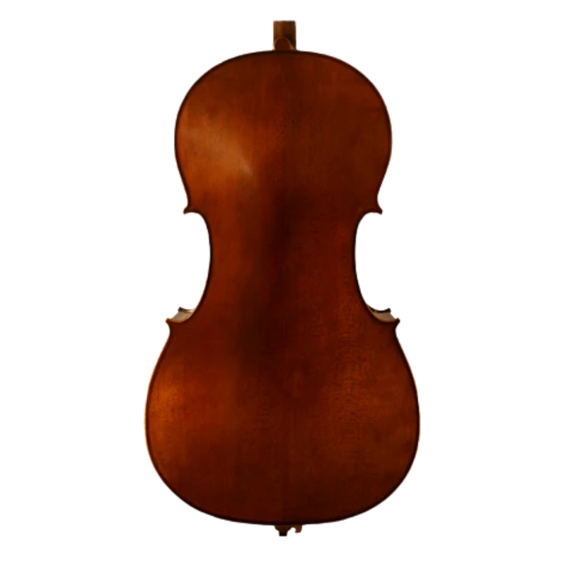 H. Luger CC100 Cello Outfit