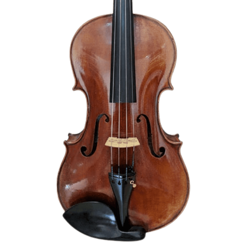 Stefan Petrov Superior Viola