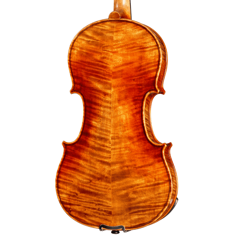 Howard Core Select CS2000-Soil Model Violin