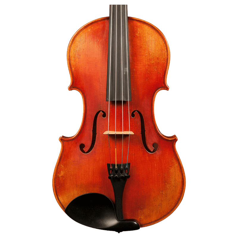 Nicolas Parola AP30E Viola
