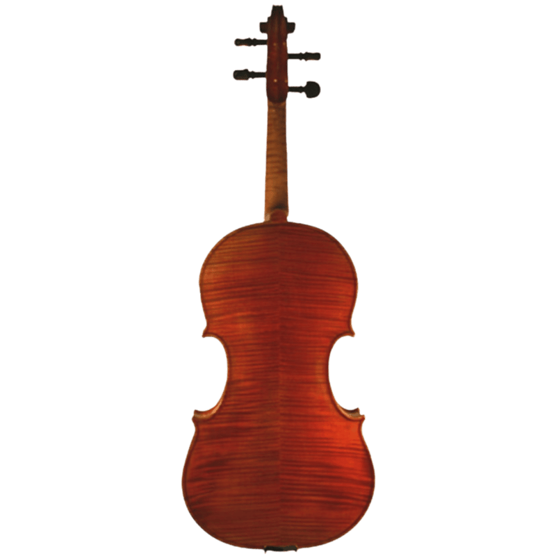Ricardo Galaini Viola