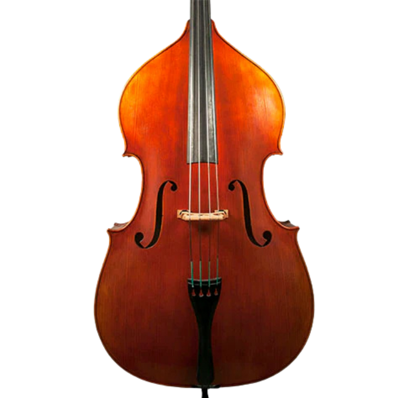 Nicolas Parola VB15E Bass