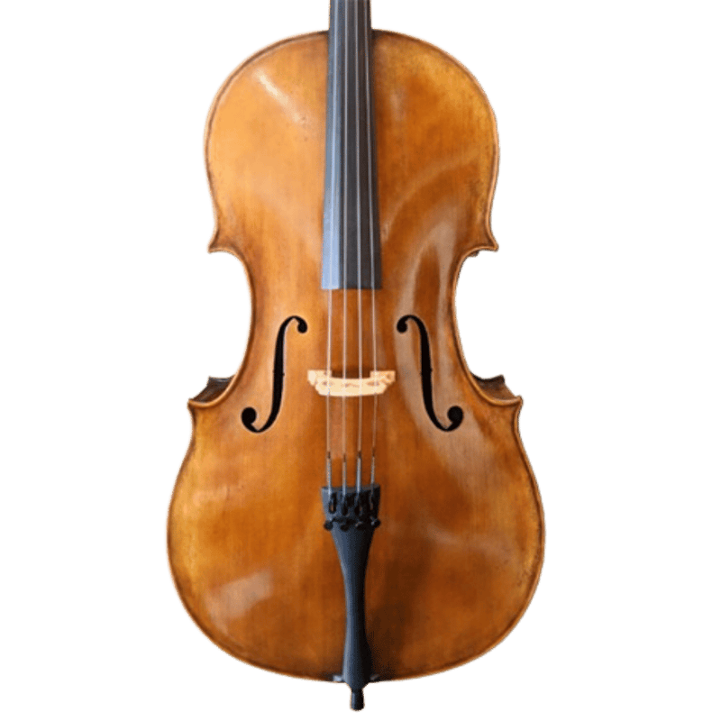 Stefan Petrov Standard Cello