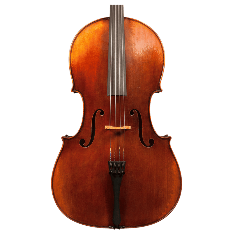 Nicolas Parola CP7 Cello