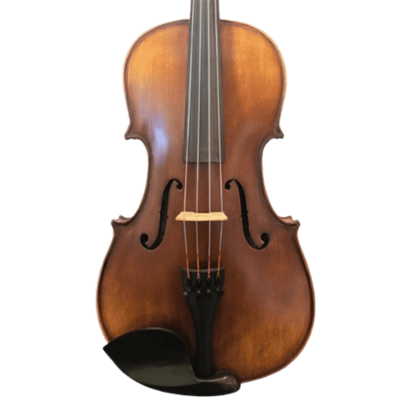 Ametto CA150 Viola Outfit