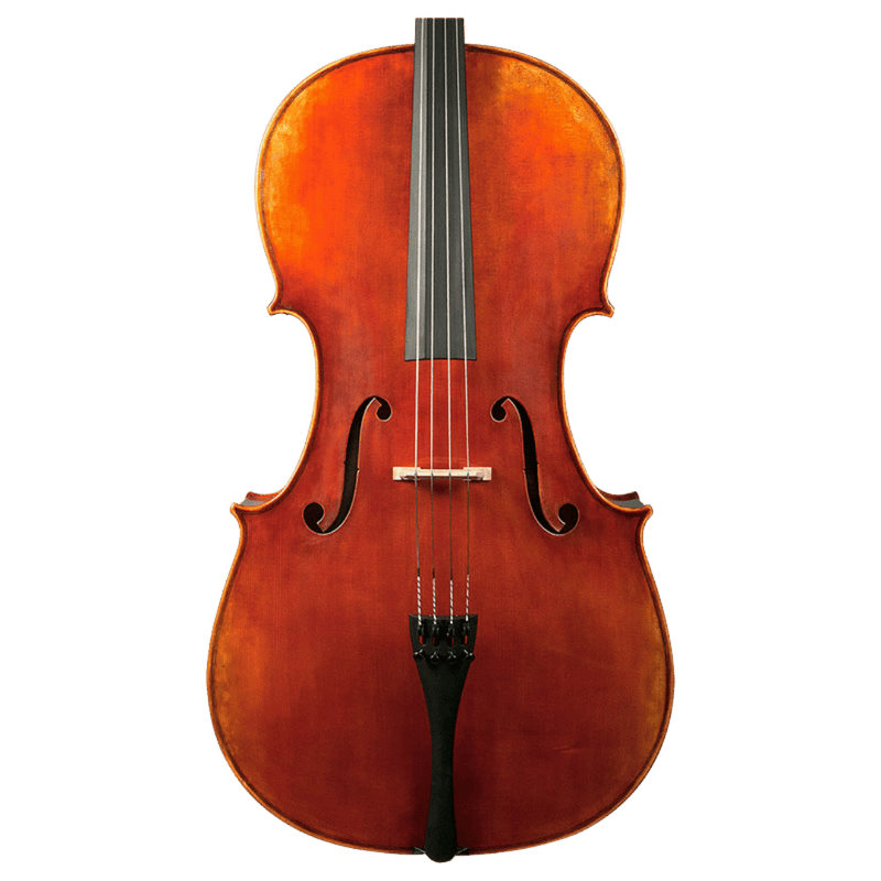 Nicolas Parola CP30E Cello