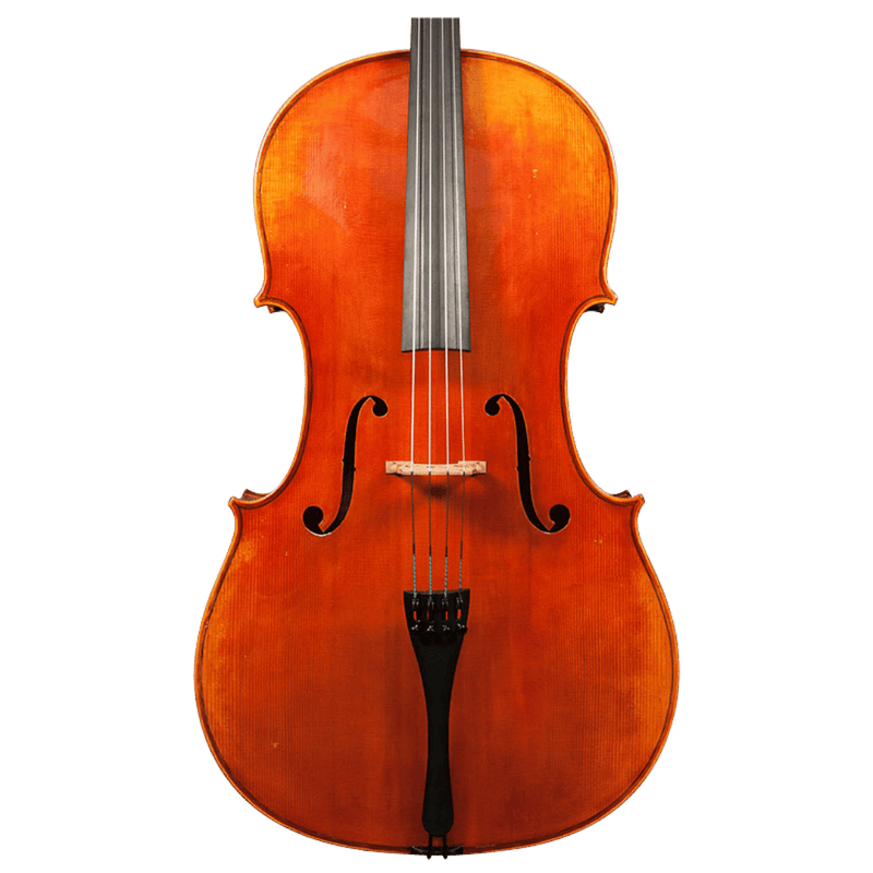 Trista Select Cello By Stefan Petrov