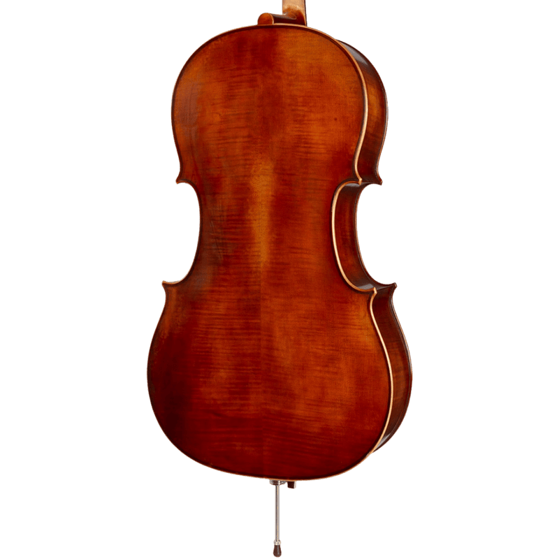 Karl Höfner 10E Cello