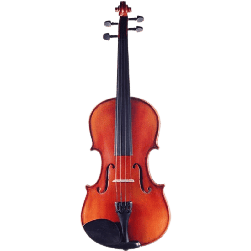 Ametto CV100 Violin Outfit
