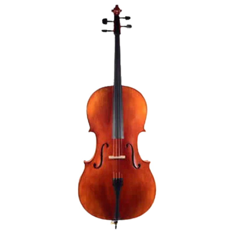 H. Luger C500 Cello Outfit