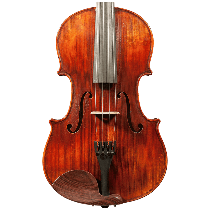 Nicolas Parola AP7 Viola