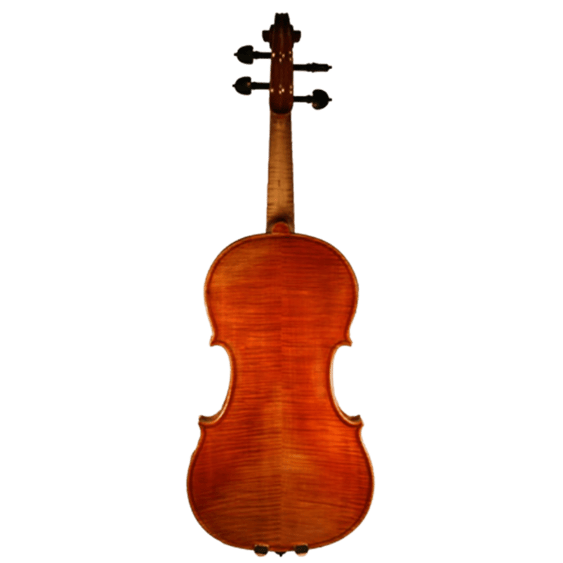 Ricardo Galaini Violin