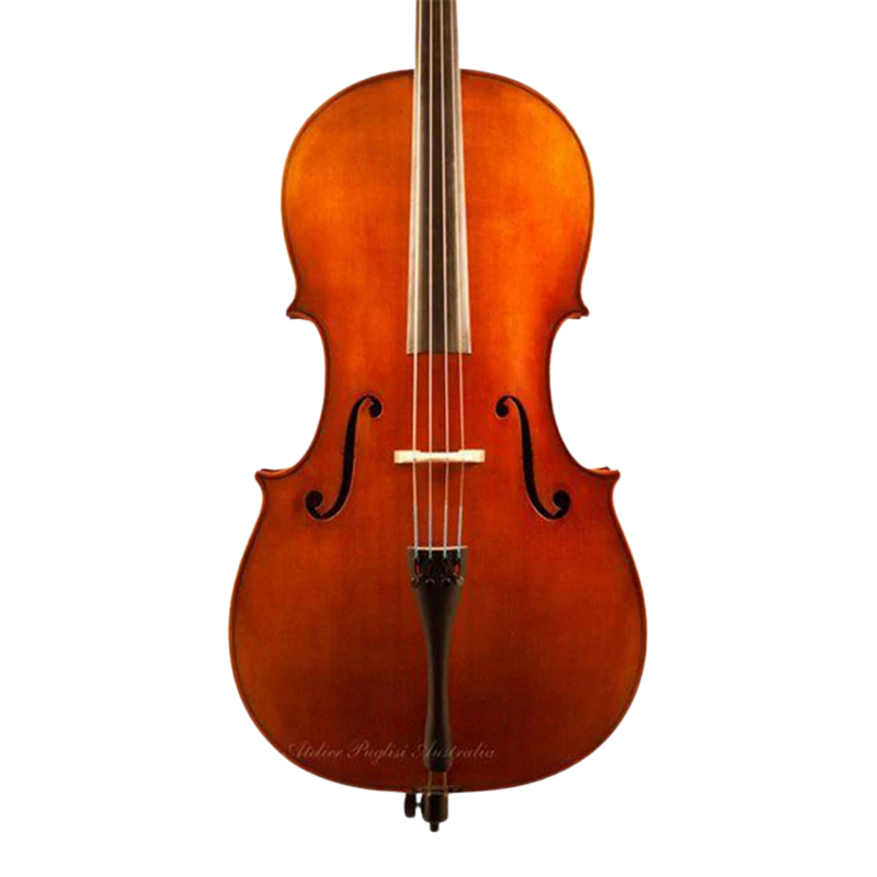 Scott Cao STC-017E Cello