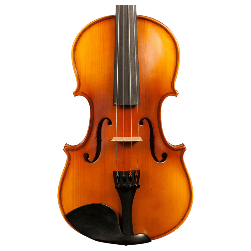 H. Luger CV301 Violin Outfit