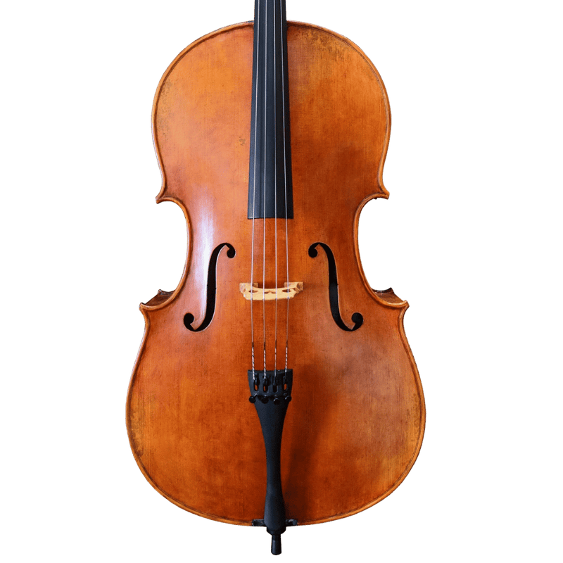 Nicolas Parola CP20N Cello
