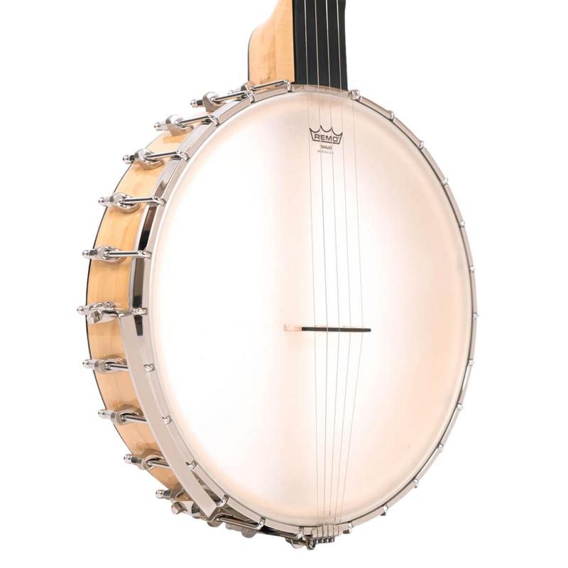 Gold Tone BC-350: Bob Carlin Banjo with Case