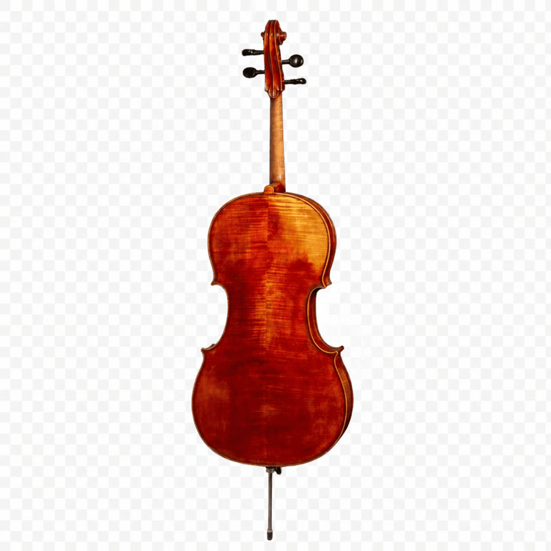 M.F. Bieg Orchester Gofriller Cello