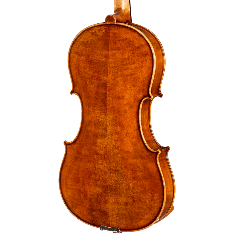 Howard Core Dragon DR10 Model Viola