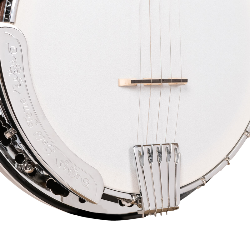 Gold Tone BG-150F: Bluegrass Banjo with Flange and Bag