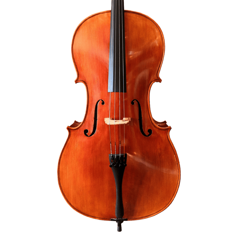 H. Luger C500 Cello Outfit