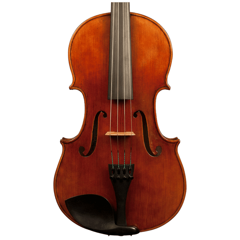 Nicolas Parola AP20N Viola