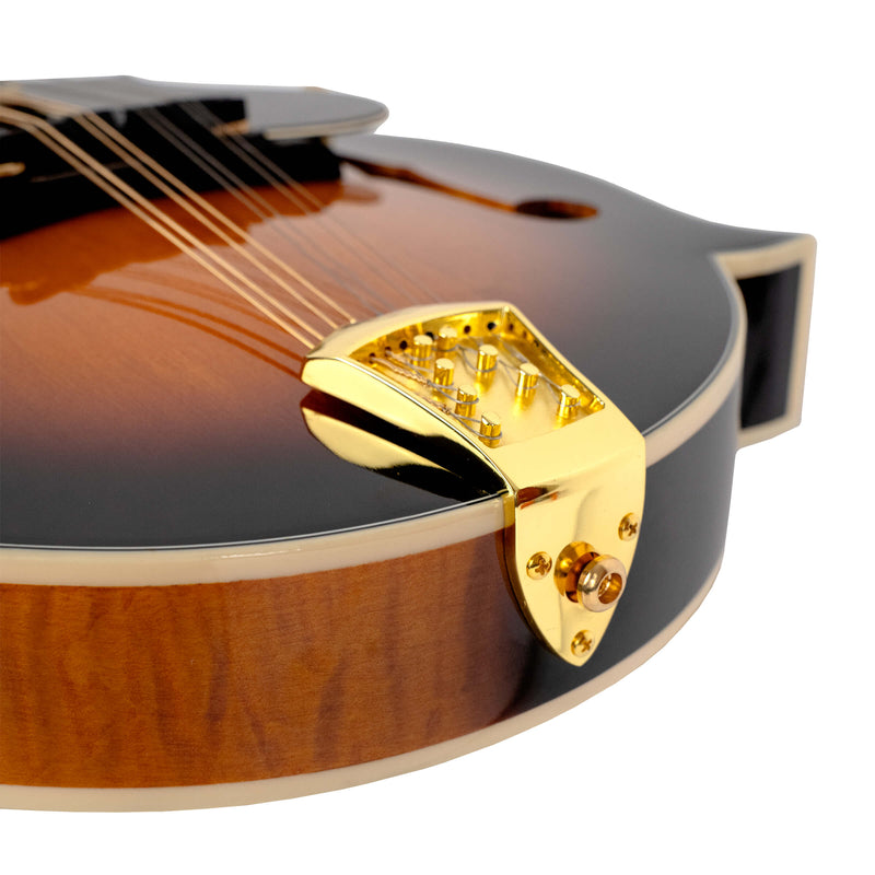 Gold Tone Mastertone™ GM-70+: F-Style Mandolin with Case