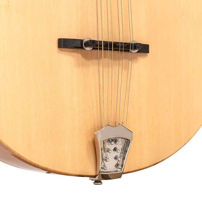 Gold Tone BZ-500: Irish Bouzouki Mandolin with Pickup and Case