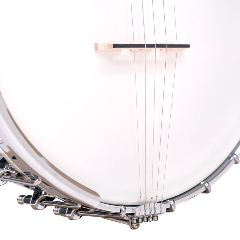 Gold Tone  OT-800LN: Old Time Long Neck Banjo with Case