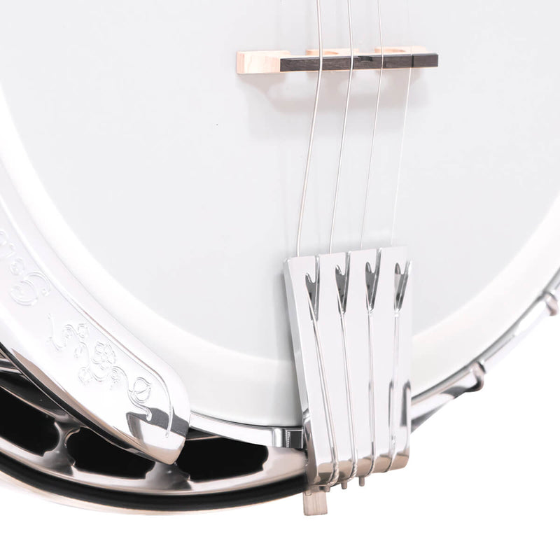 Gold Tone Mastertone™ IT-250F: Irish Tenor Banjo with Flange and Case