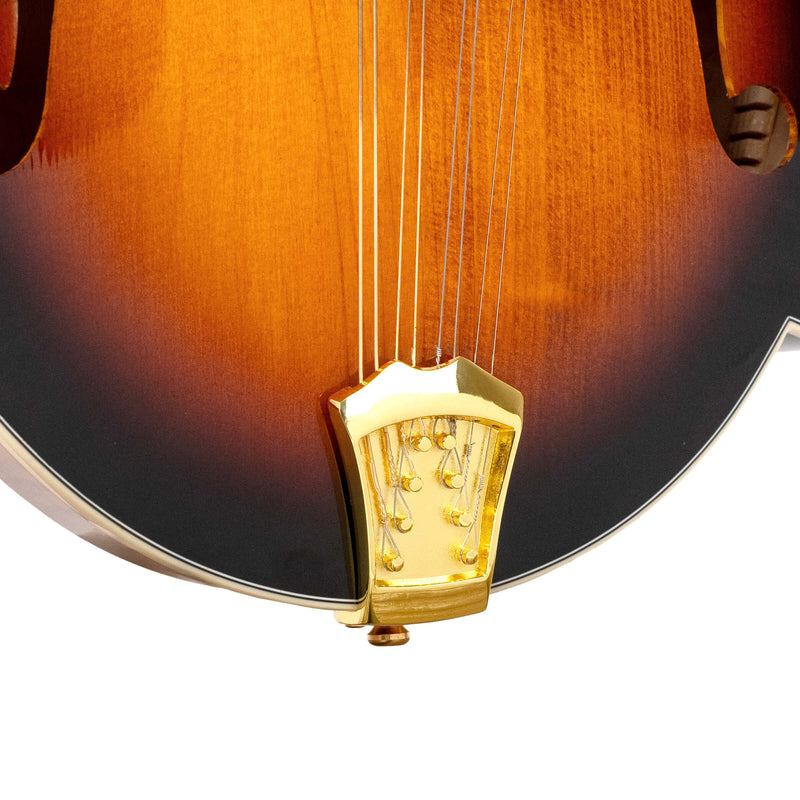 Gold Tone Mastertone™ GM-70+: F-Style Mandolin with Case