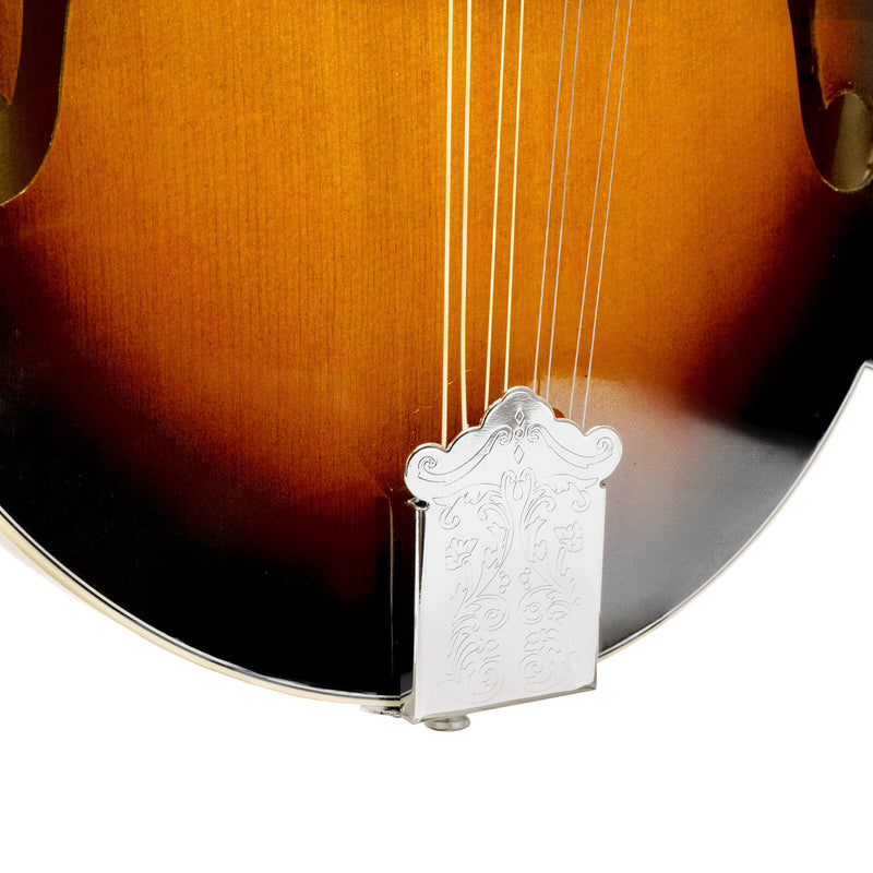 Gold Tone GM-35: F-Style Mandolin with Case