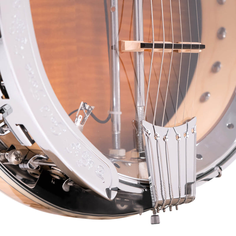 Gold Tone GT-750: Banjitar Deluxe with Case