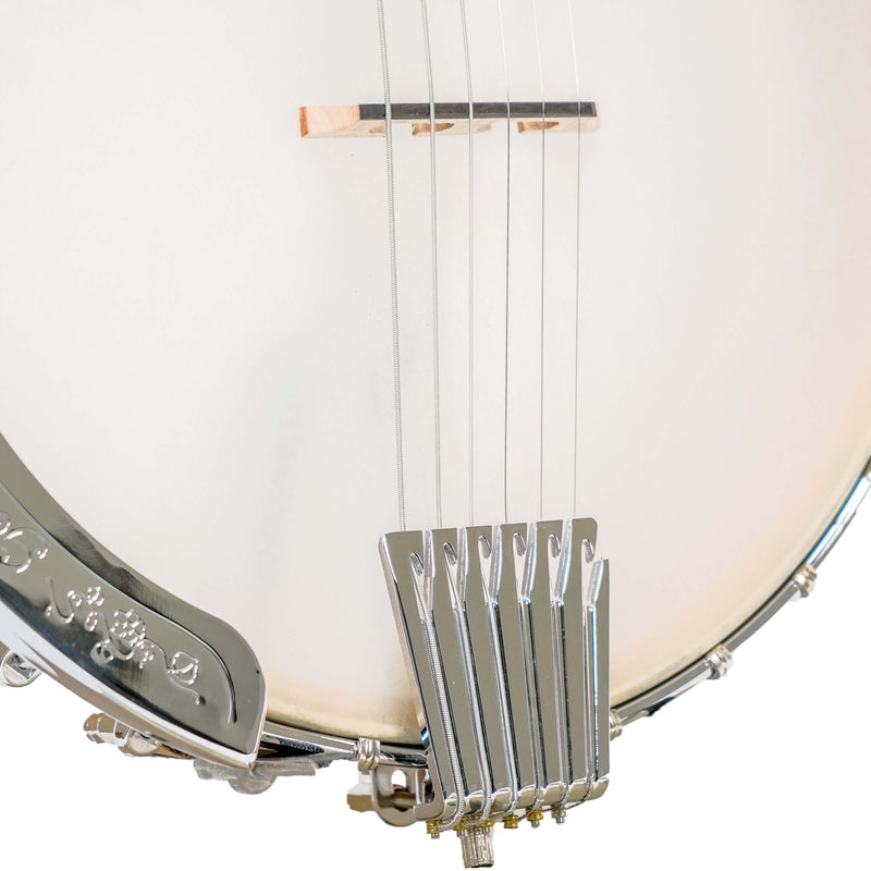 Gold Tone  BT-1000: 6-String Banjitar with Pickup and Bag