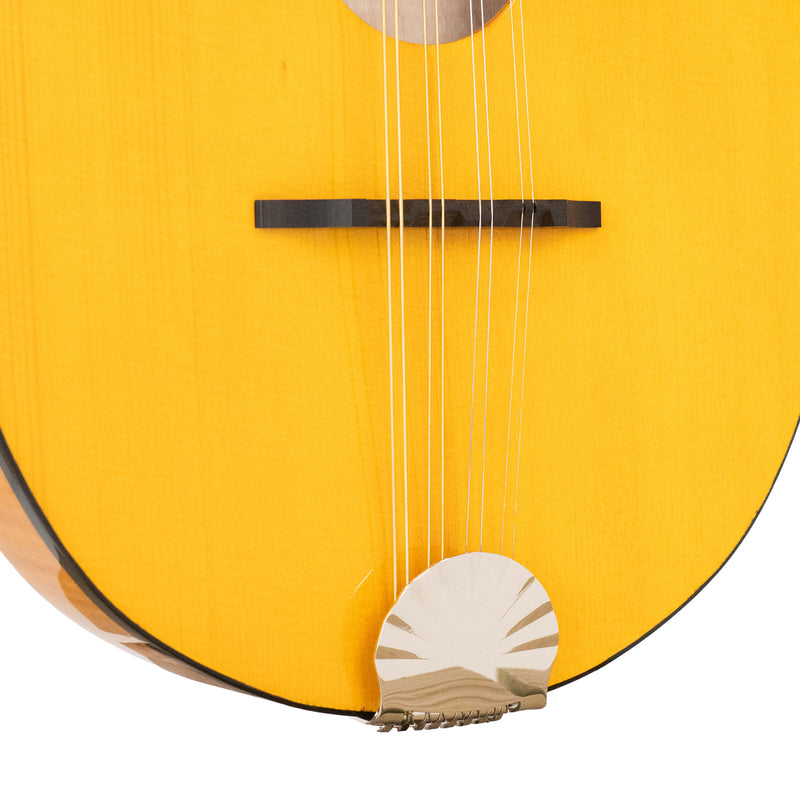 Gold Tone GM-10: Frypan Mandolin with Case