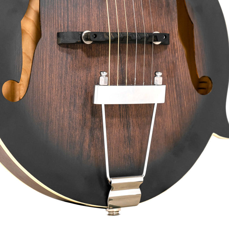 Gold Tone F-6: F-style Mando-Guitar with Pickup and Case