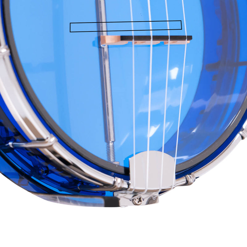 Gold Tone Little Gem (Sapphire): See-Through Banjo-Ukulele with Bag