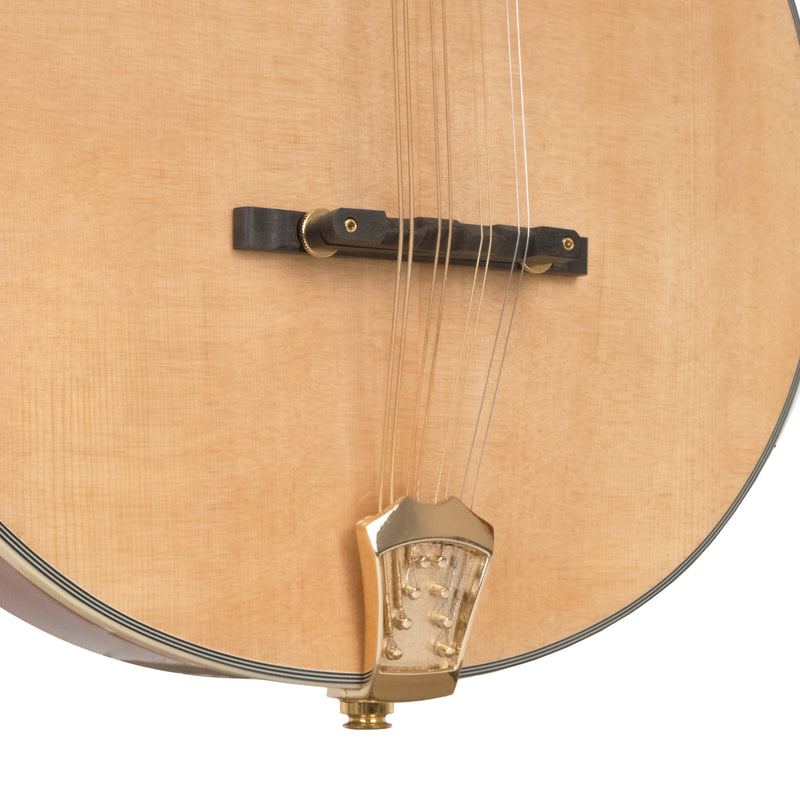 Gold Tone OM-800+: Octave Mandolin with Case