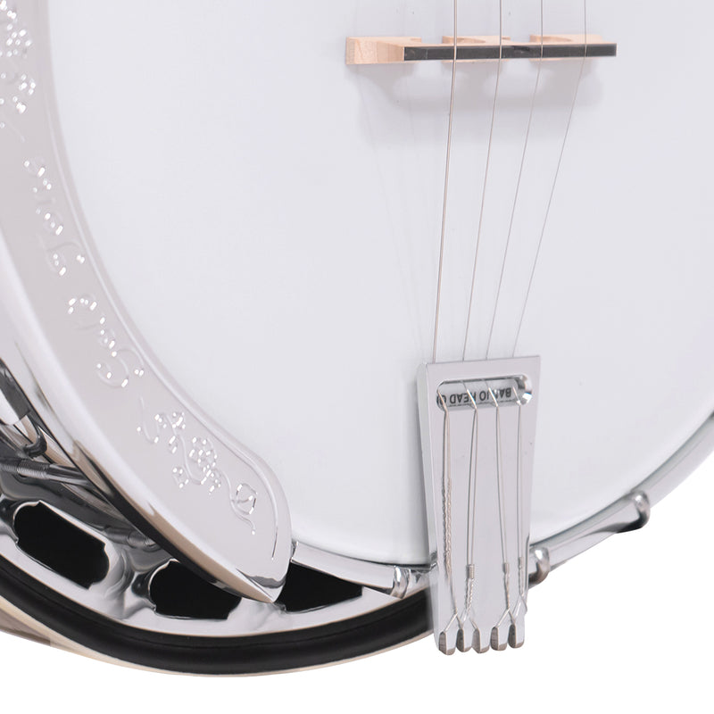 Gold Tone PS-250: Plectrum Special Banjo with Case