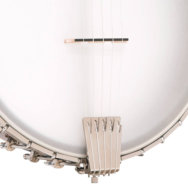 Gold Tone CEB-5: 5-String Cello Banjo with Case