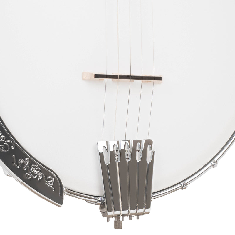 Gold Tone CC-100+: Cripple Creek Banjo Upgraded with Pickup and Gig Bag