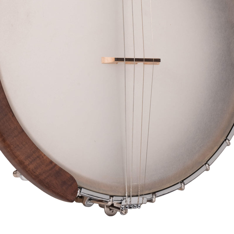 Gold Tone  IT-17: Irish Tenor Banjo with 17 Frets and Gig Bag