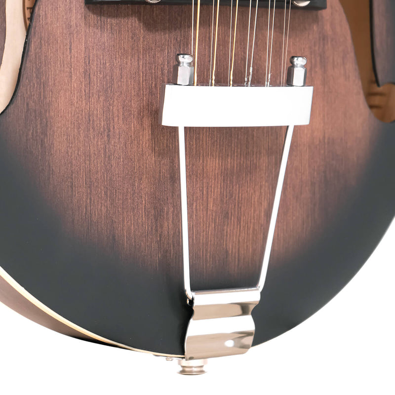 Gold Tone F-12: 12-string F-style Mando-Guitar with Pickup and Case