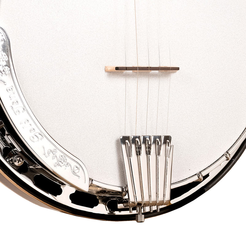 Gold Tone OB-250LW: Lightweight Orange Blossom Banjo with Case