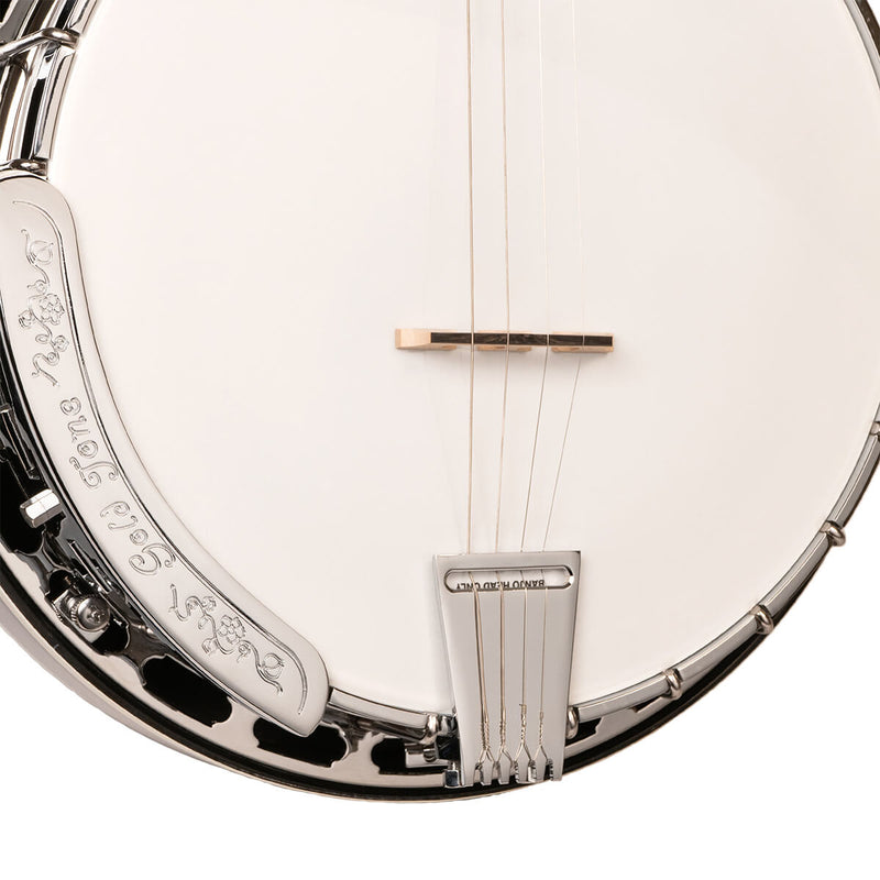 Gold Tone TS-250: Tenor Special Banjo with Case